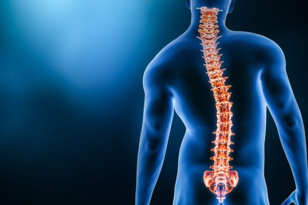 A Guide to Understanding Chiropractic Care for Spinal Health